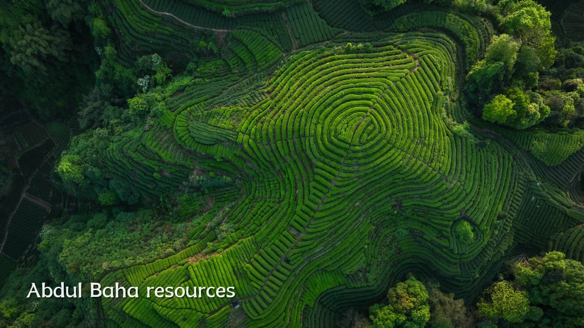 Abdul Baha resources