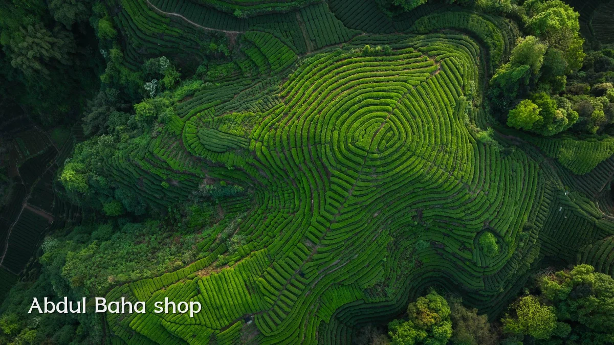 Abdul Baha shop