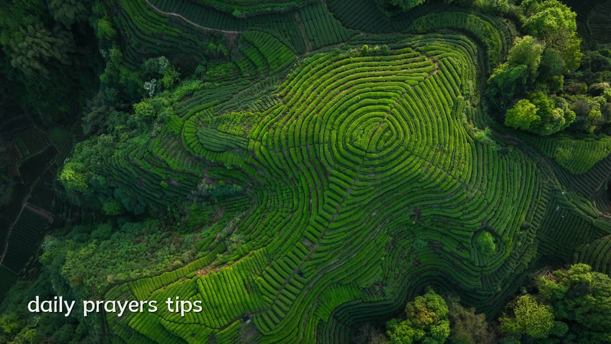 daily prayers tips