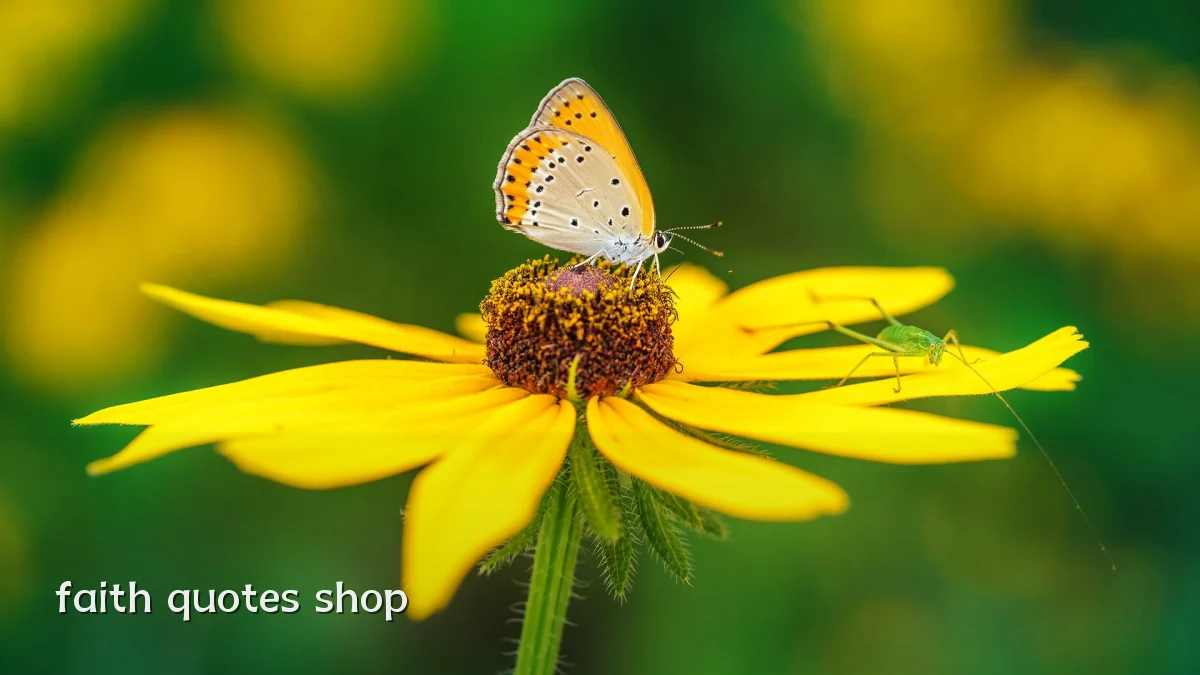 faith quotes shop