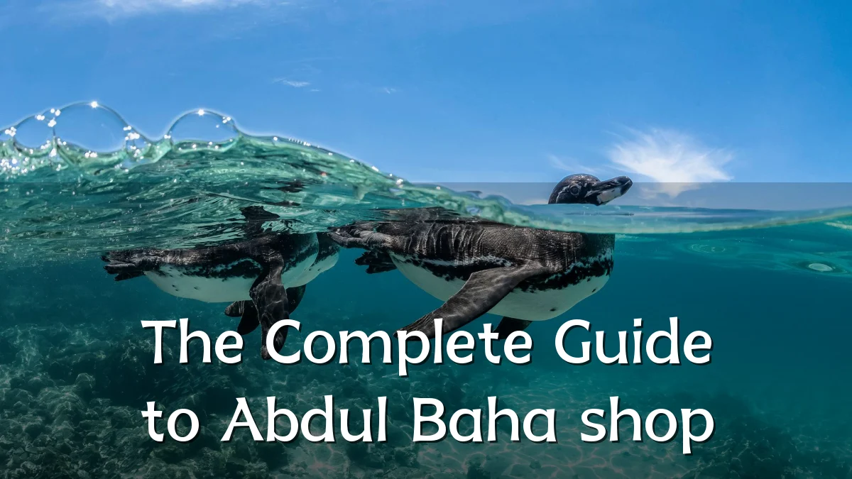 The Complete Guide to Abdul Baha shop