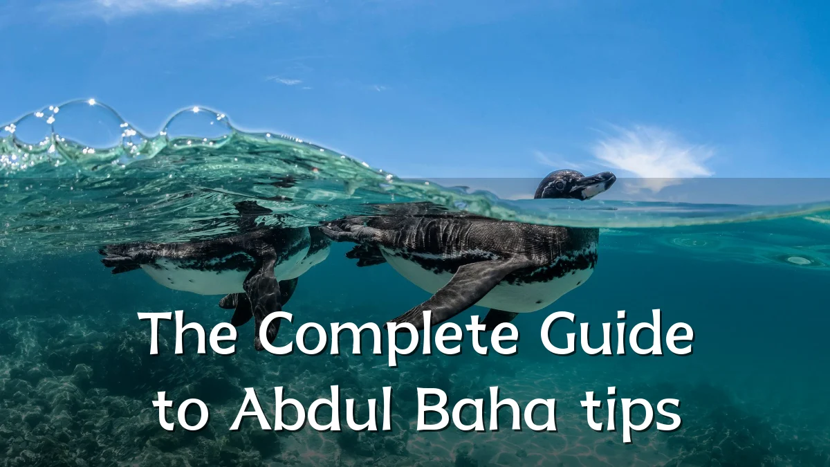 The Complete Guide to Abdul Baha tips
