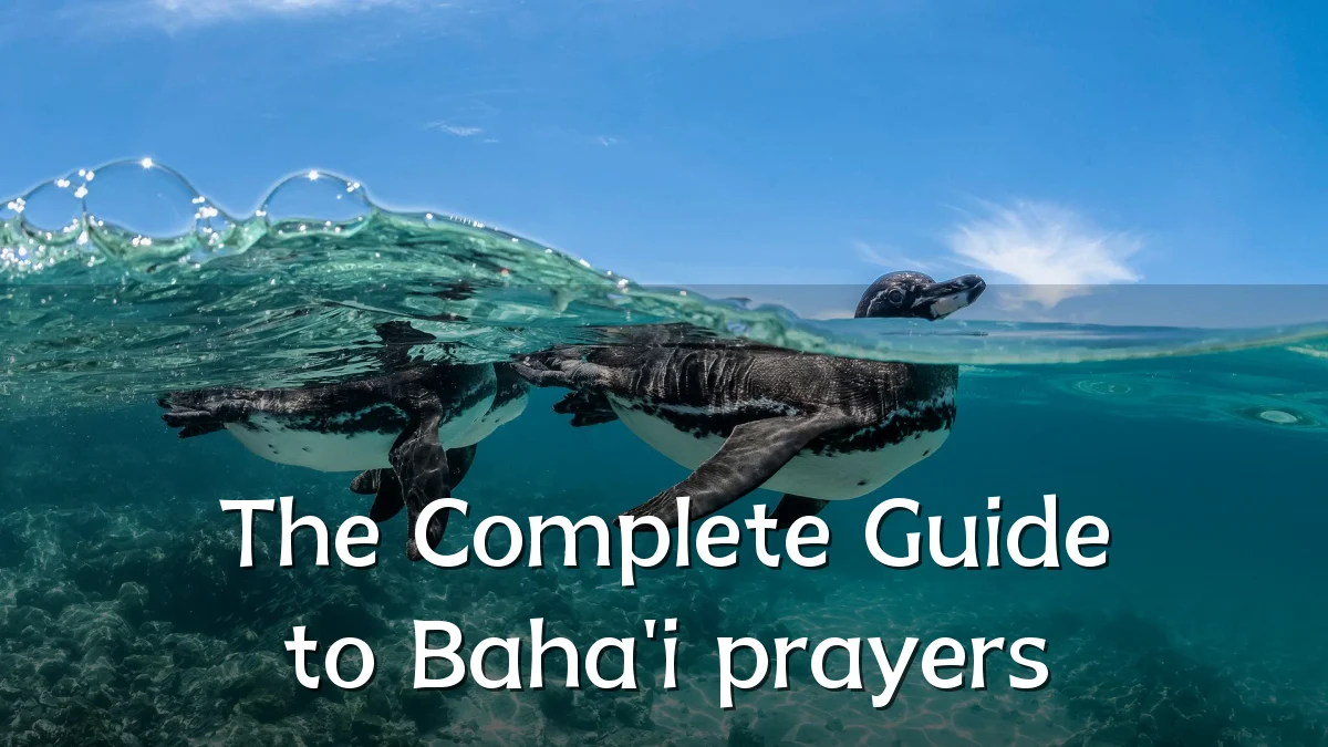 The Complete Guide to Baha'i prayers