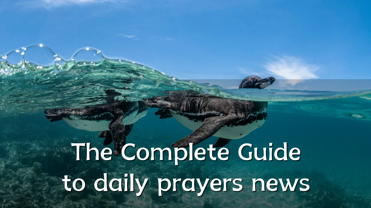 The Complete Guide to daily prayers news
