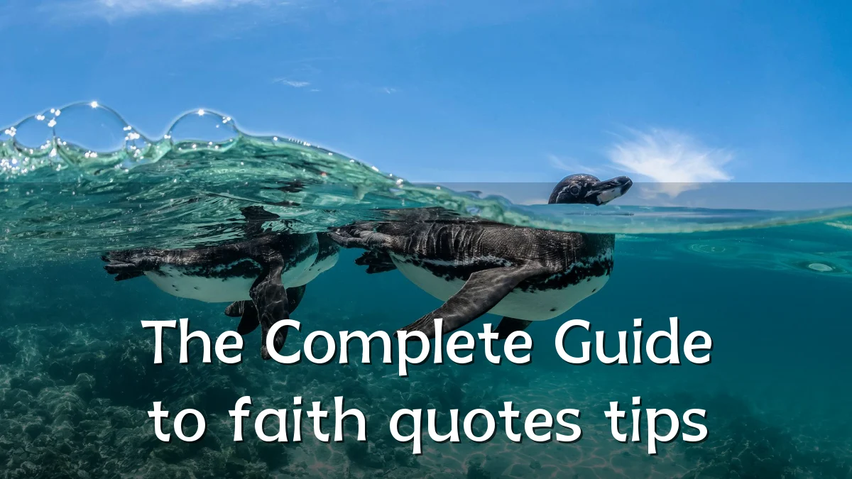 The Complete Guide to faith quotes tips