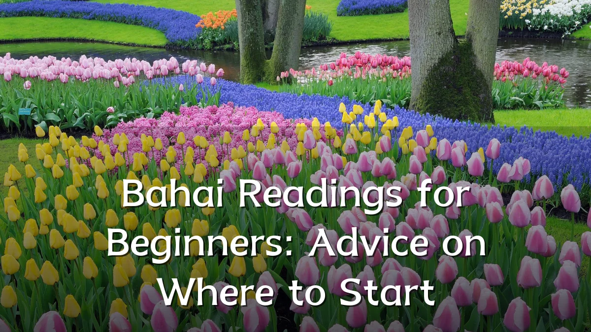 Bahai Readings for Beginners: Advice on Where to Start