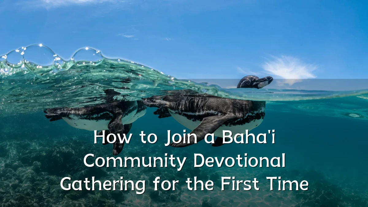 How to Join a Baha'i Community Devotional Gathering for the First Time