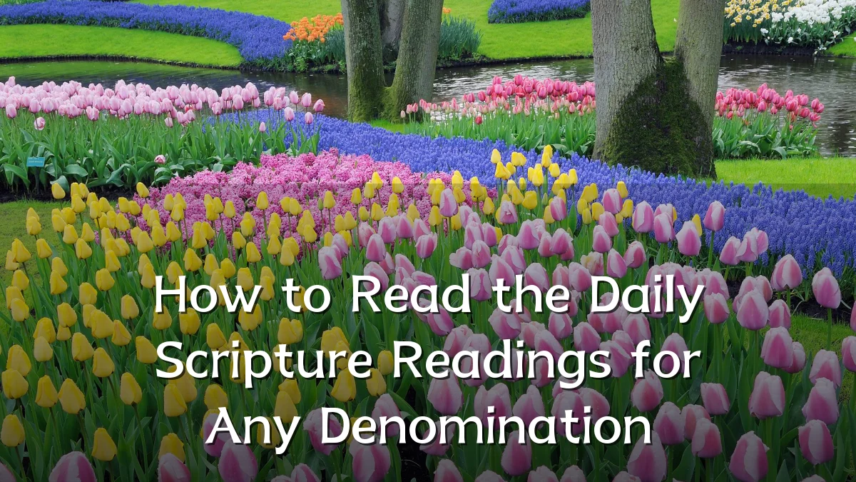 How to Read the Daily Scripture Readings for Any Denomination