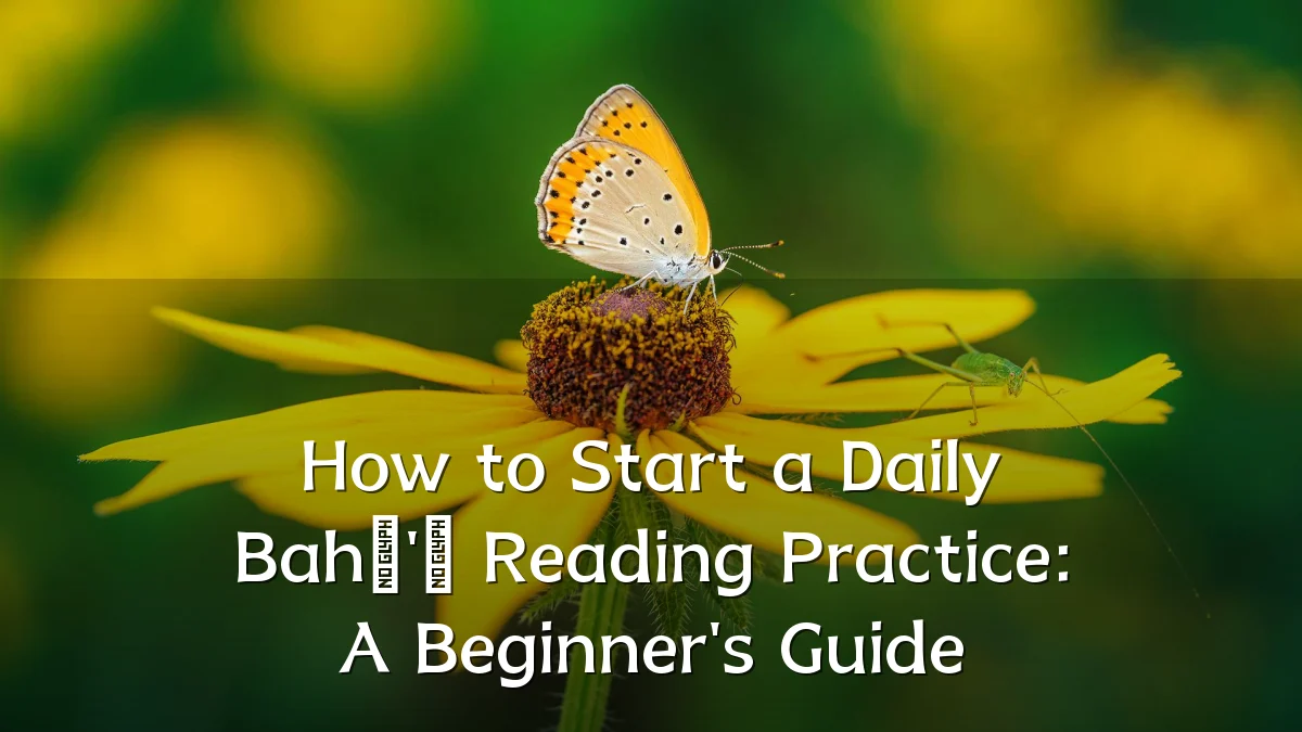 How to Start a Daily Bahá'í Reading Practice: A Beginner's Guide