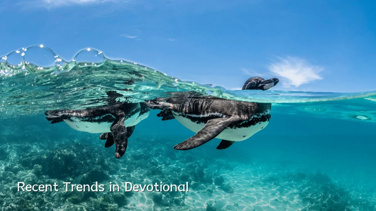 Recent Trends in Devotional