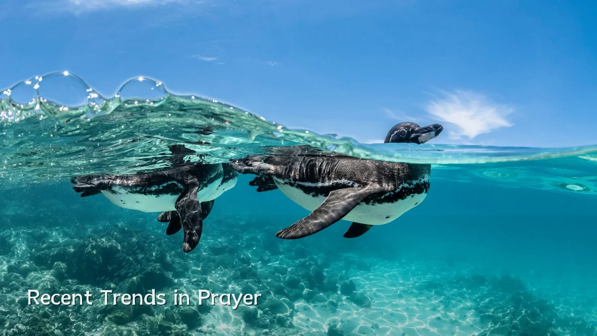 Recent Trends in Prayer