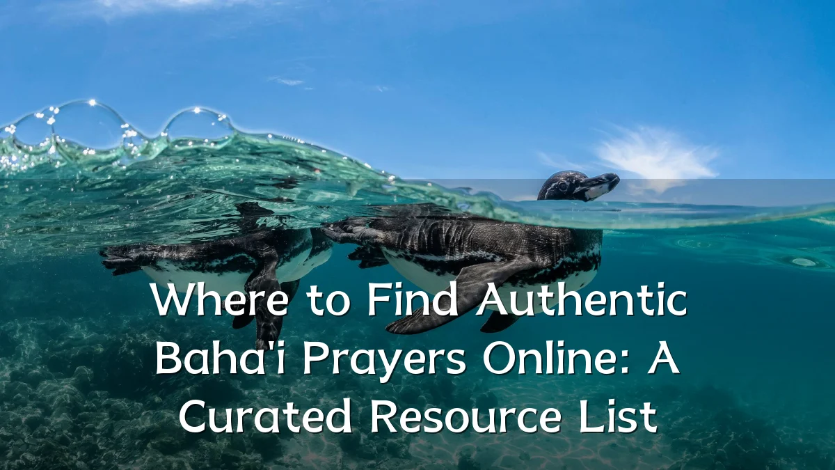Where to Find Authentic Baha'i Prayers Online: A Curated Resource List