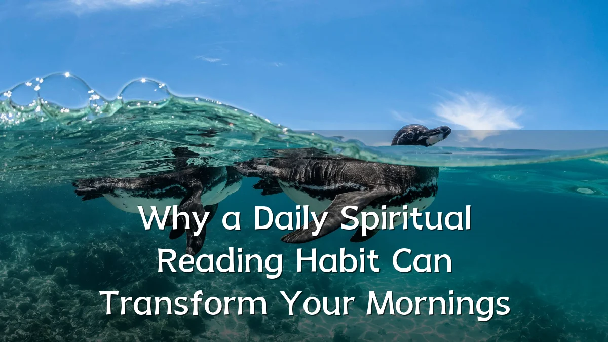 Why a Daily Spiritual Reading Habit Can Transform Your Mornings
