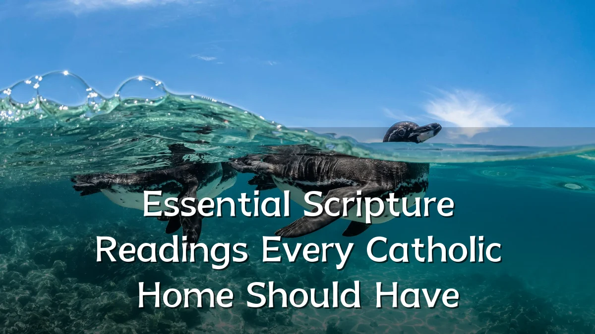 Essential Scripture Readings Every Catholic Home Should Have