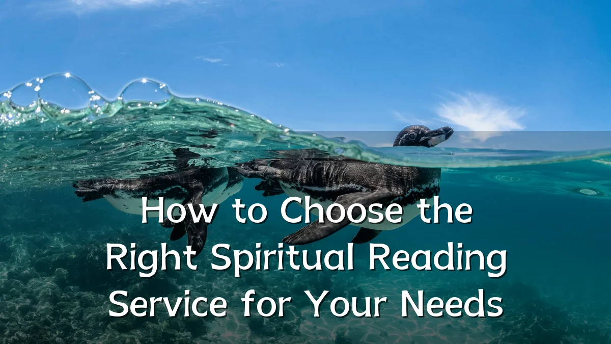 How to Choose the Right Spiritual Reading Service for Your Needs