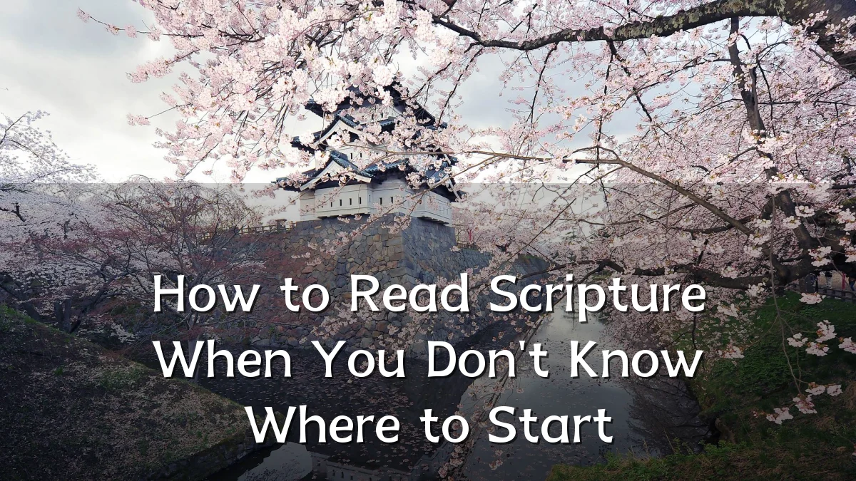 How to Read Scripture When You Don't Know Where to Start