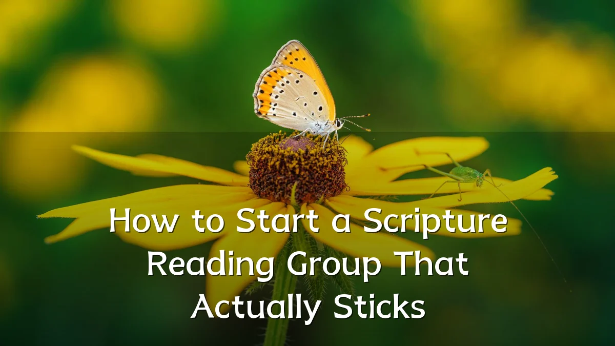 How to Start a Scripture Reading Group That Actually Sticks