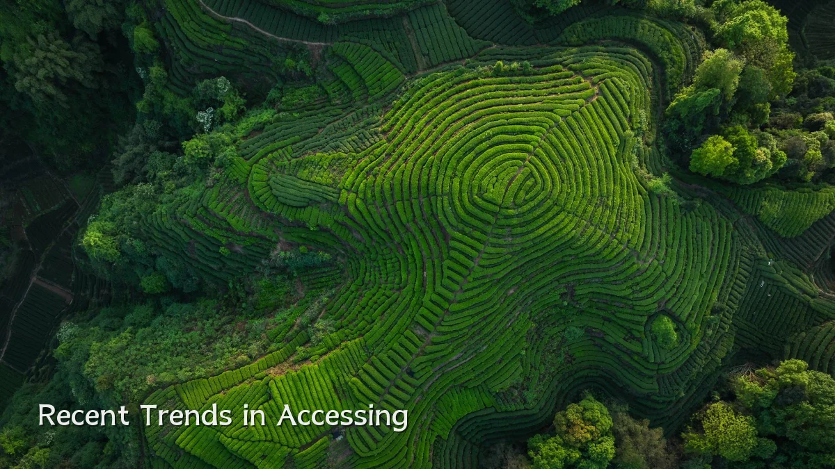Recent Trends in Accessing