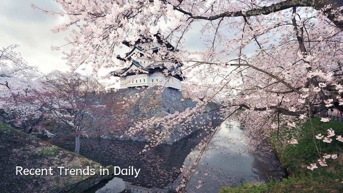 Recent Trends in Daily