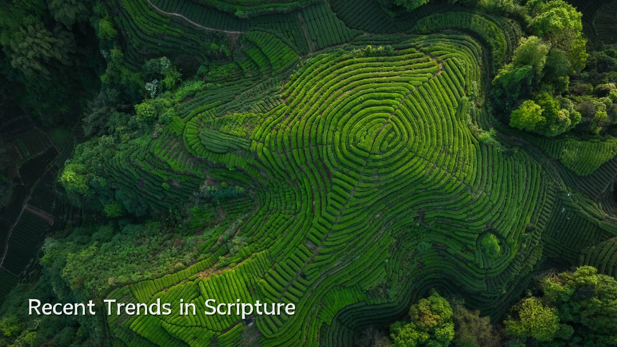 Recent Trends in Scripture