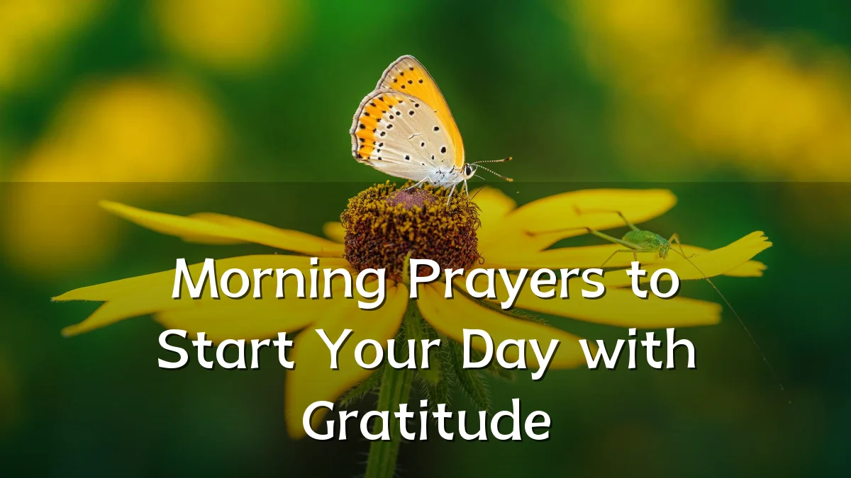 Morning Prayers to Start Your Day with Gratitude